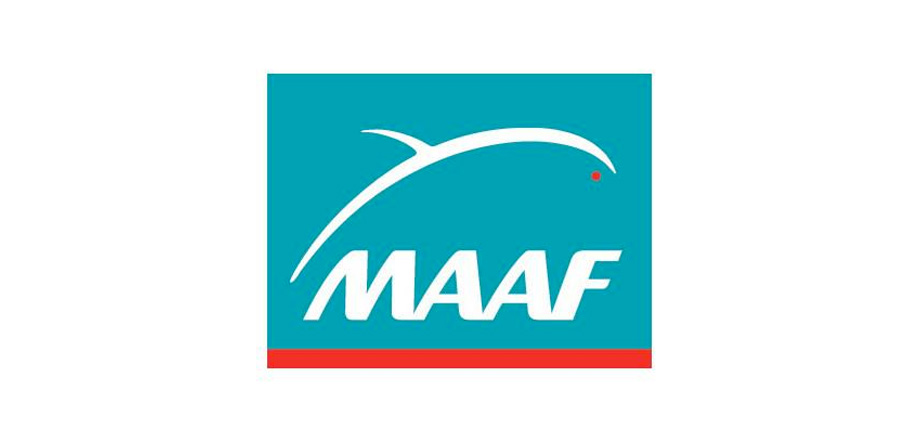 Maaf
